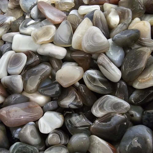 cropped 16854120650008921089495244529333.jpg