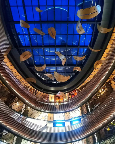 310304271 552937993266400 6729709327506941844 n.jpg