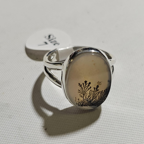 cropped 16854322217111414644576036063980.jpg