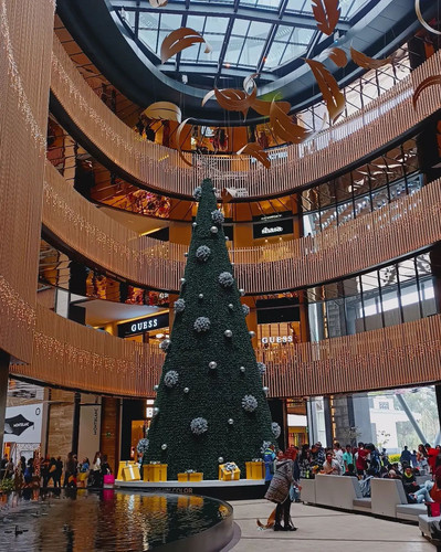 316401295 813632313044327 6909220639719811902 n.jpg