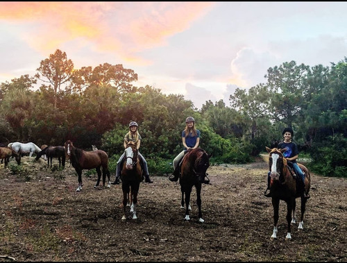 Screenshot 20230530 031319.jpg