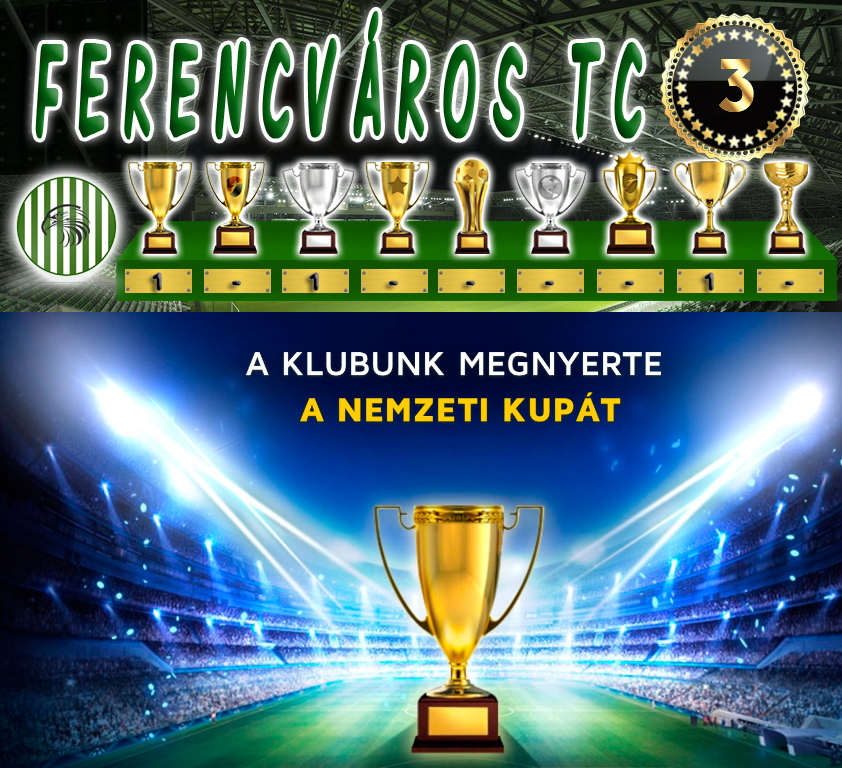 Nemzeti Kupa 29.Szezon Döntő (3.Kupa)