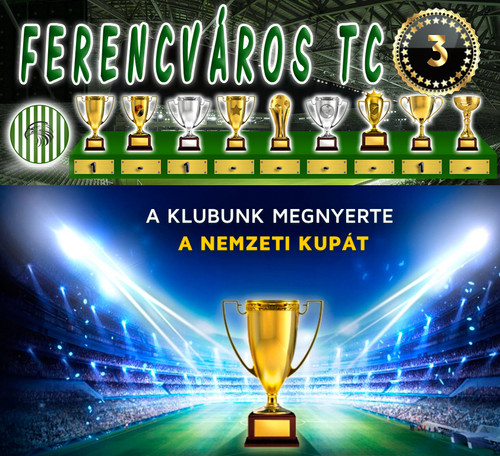 Nemzeti Kupa 29.Szezon Dönto (3.Kupa).jpg