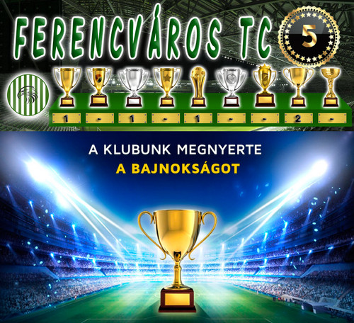 Bajnokság 29.Szezon Végeredmény (5.Kupa).jpg