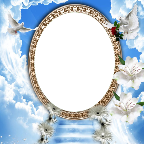 ter2.png