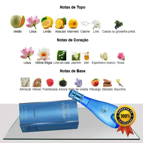 Davidoff Cool Water Feninino 100ml topG.webp