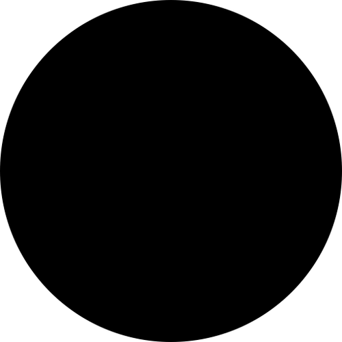 circle icon.2