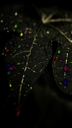 IMG 20230602 133836.jpg
