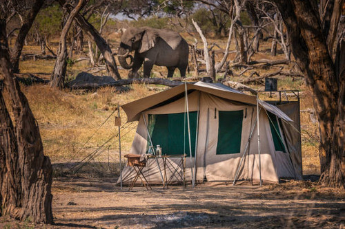 Camping Safaris Tanzania.jpg