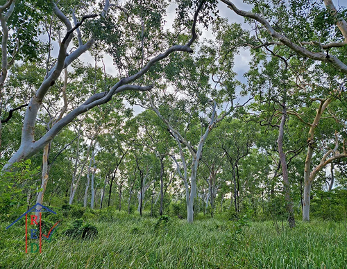 7331262d038c.png