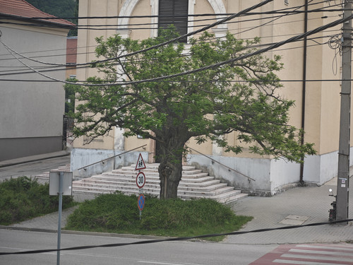 IMG 20230602 061136.jpg
