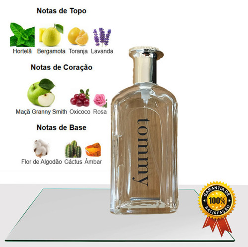 tommy for men tope.jpg