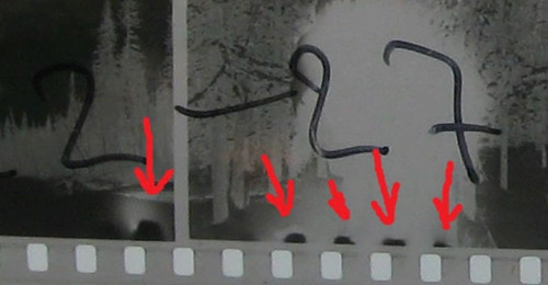 IMG 20230602 085718 365.jpg