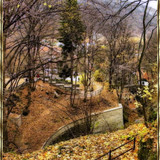 ösz8