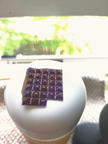 1685311421575.jpg