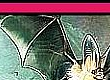 vampi2 30.png