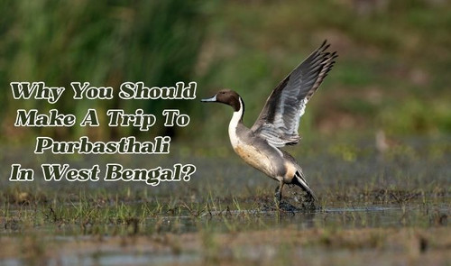 Why You Should Make A Trip to Purbasthali in West Bengal?.jpg
