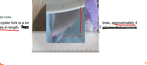 purple helmet.png