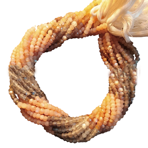 ed.1 42 11zon PhotoRoom.png PhotoRoom.png