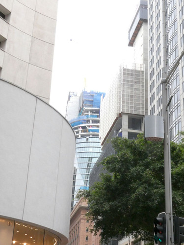 P1000098.jpg