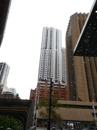 P1000109.jpg