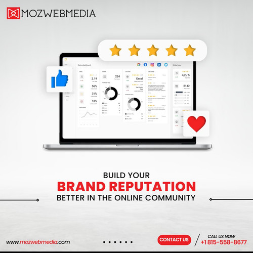Online Reputation Management Company Chicago.jpg