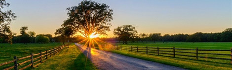 105 laat de laagstaande zon je niet verblinden l.jpg