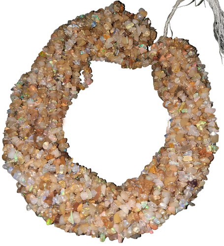 gy.1 21 11zon PhotoRoom.png PhotoRoom.png