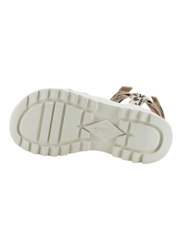 27602 4 PhotoRoom (1).jpg