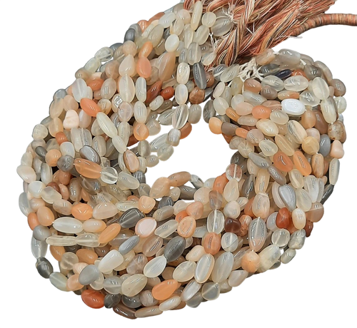 sj.1 94 11zon PhotoRoom.png PhotoRoom.png