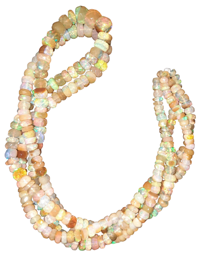 lh.1 20 11zon PhotoRoom.png PhotoRoom.png