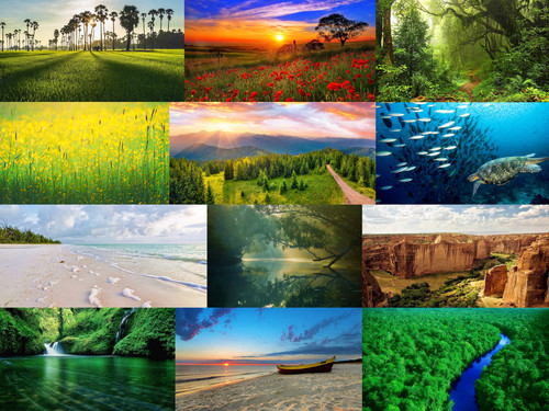 ' Glorified is The Mighty-Creator '.jpg