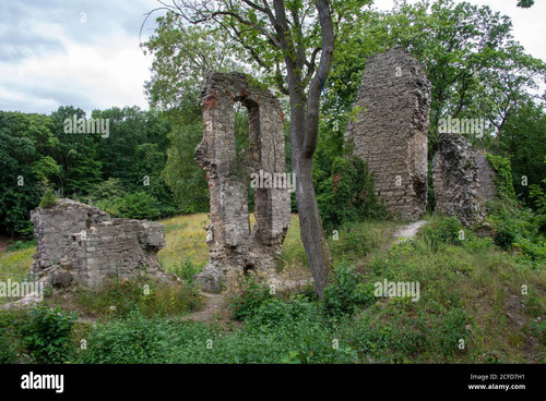 germany saxony anhalt stecklenberg medieval castle ruin stecklenburg in the harz mountains 2CFD7H1.jpg