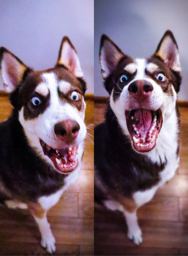 105299251 10223897265365821 6876876499234690504 n.jpg