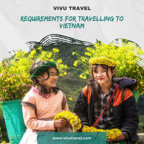 Requirements for Travelling To Vietnam.png