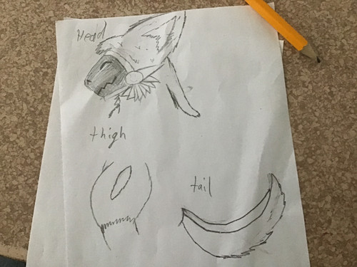 image.jpg