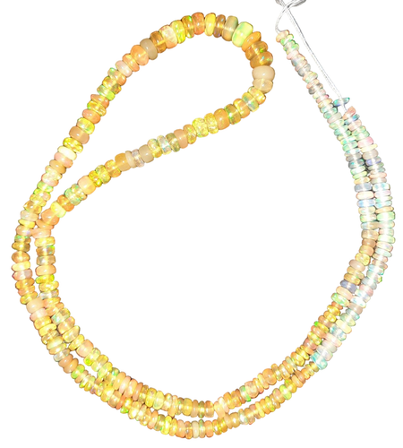 lf.1 16 11zon PhotoRoom.png PhotoRoom.png