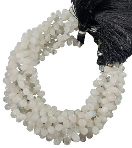 ot.1 41 11zon PhotoRoom.png PhotoRoom.png