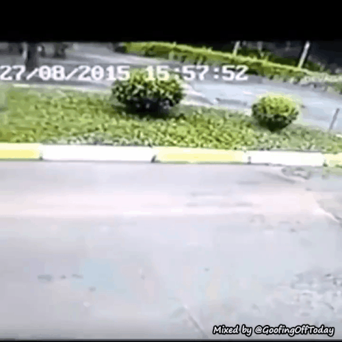 GIF 230529 090846.gif