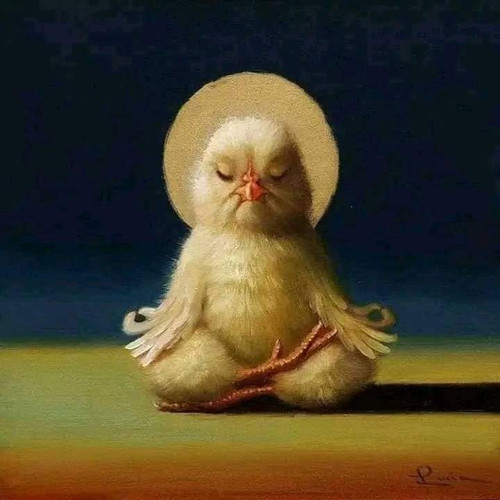 FB IMG 1684802351022.jpg