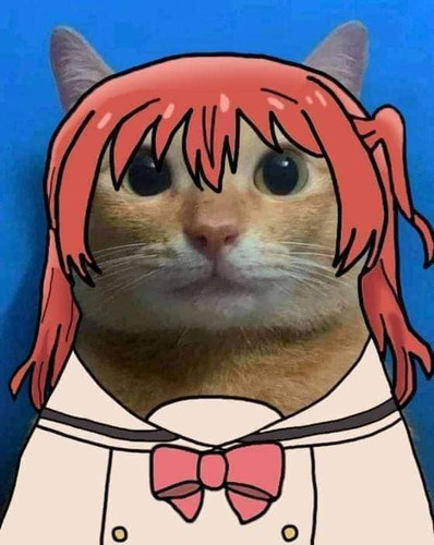 338323491 1282635532289709 7075328145824281818 n.jpg
