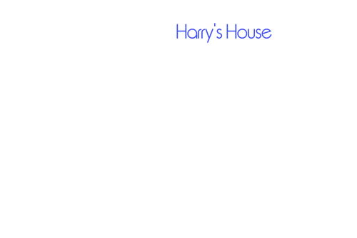 HAARYSTE 34329 (1).png