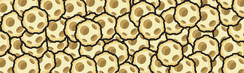 CCMobileBanner3 1600x480.jpg