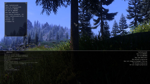 1. Pine.jpg
