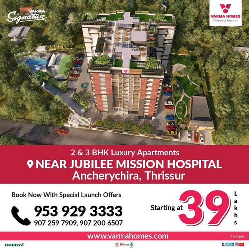 81706585 2204841736476279 6569772766998822912 o.jpg