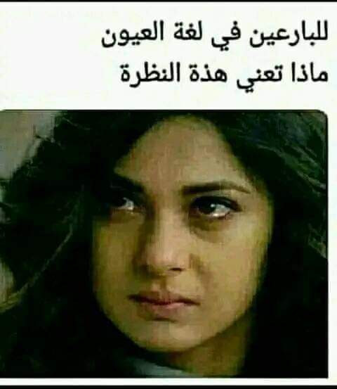 FB IMG 1685733527085.jpg