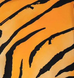 stripestig.jpg