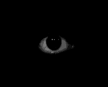 scary dark.gif