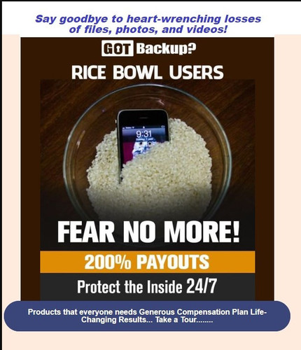rice bowl one.jpg