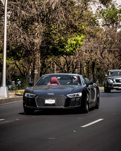 147444002 3706488396101964 3583332444123730531 n.jpg